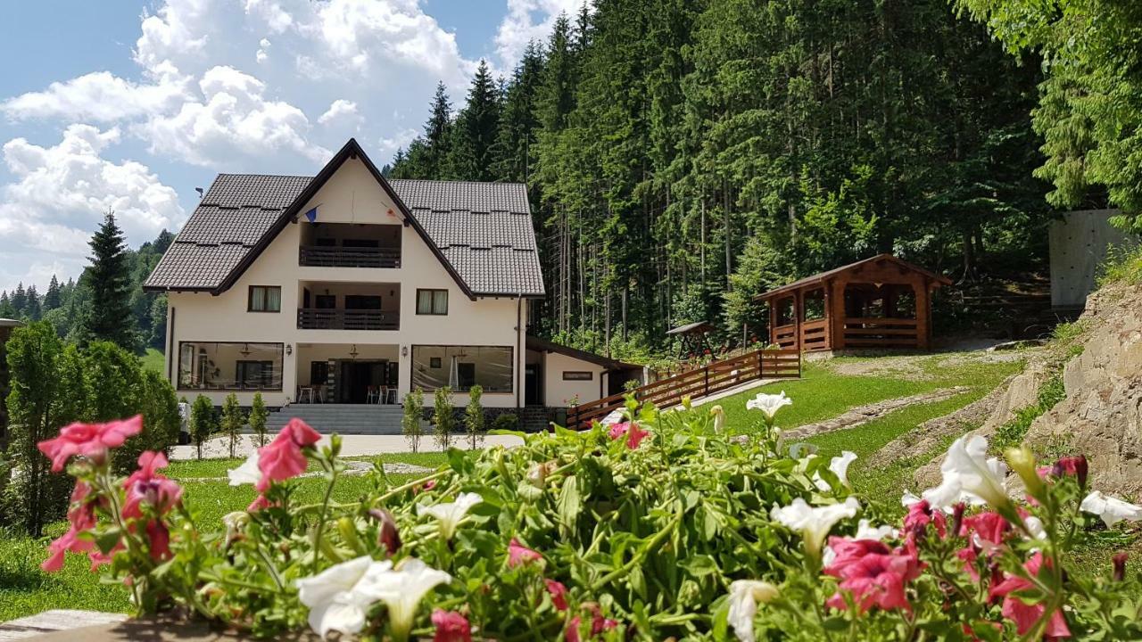 Perla Padurii Hotel Valea Mare  Luaran gambar